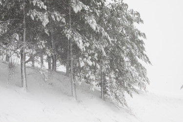 Similar image 786108