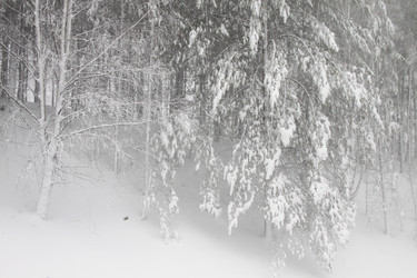 Similar image 786109