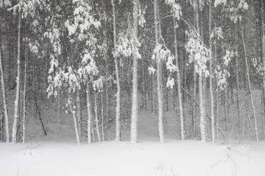 Similar image 786110