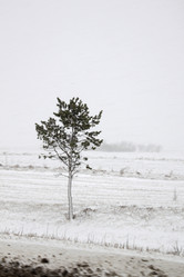 Similar image 786114