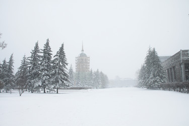 Similar image 786118