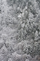 Similar image 786119