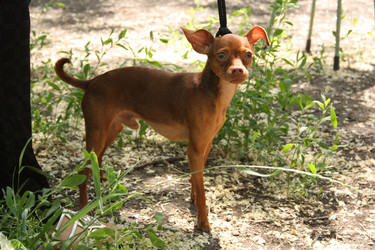 Similar image 786135