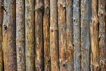 Similar image 786153