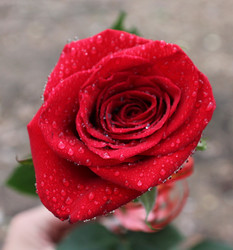 Similar image 786171