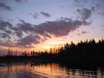 Similar image 786250