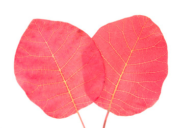 Similar image 786371