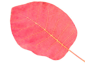 Similar image 786372