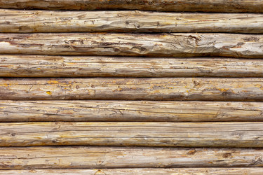 Similar image 786376