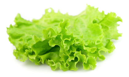 Similar image 786395