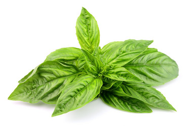 Similar image 786402