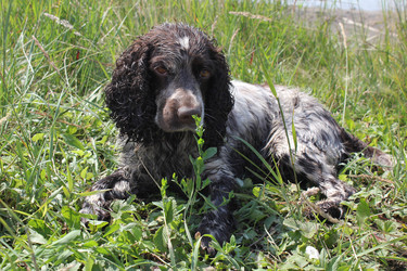 Similar image 786454