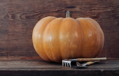 Similar image 786458