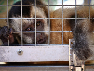 Similar image 786477