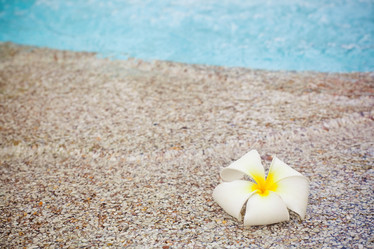 Similar image 786545