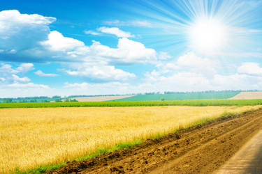 Similar image 786551