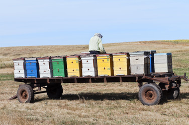 Similar image 786554