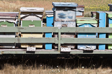 Similar image 786559