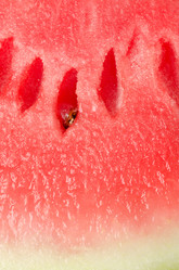 Similar image 786569