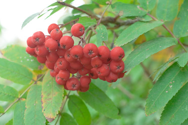 Similar image 786613