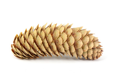 Similar image 786615