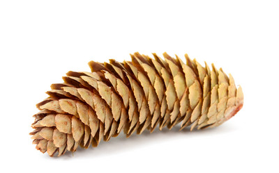 Similar image 786616