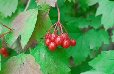 Similar image 786618