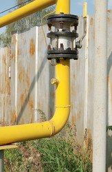 Similar image 786642