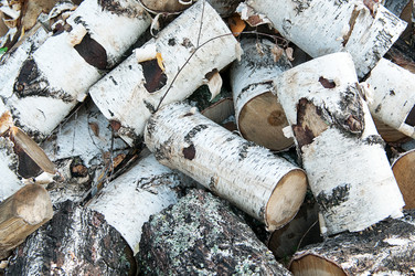 Similar image 786645