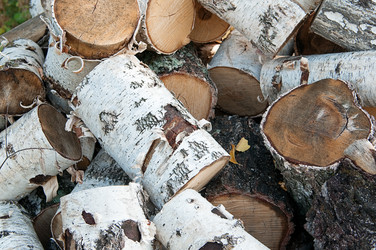 Similar image 786646