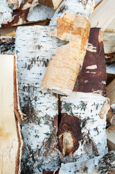 Similar image 786649