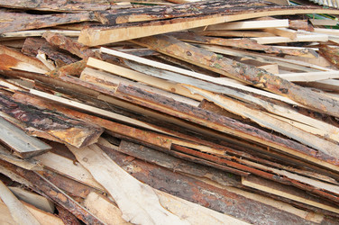 Similar image 786650