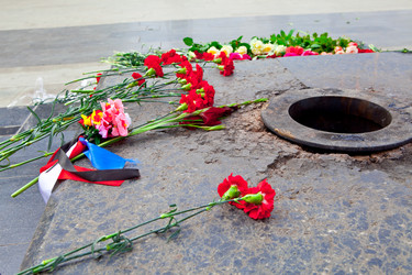 Similar image 786663