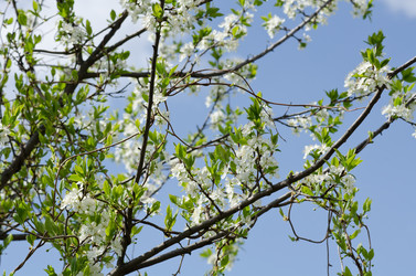 Similar image 786669