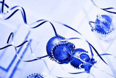 Similar image 786711