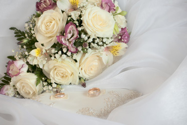 Similar image 786720