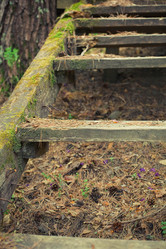 Similar image 786745