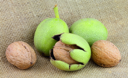 Similar image 786753