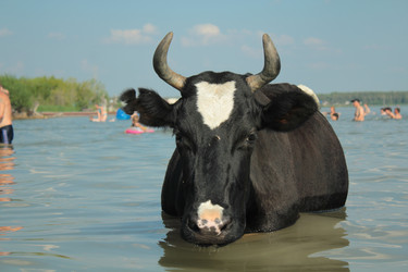 Similar image 786763