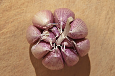 Similar image 786792