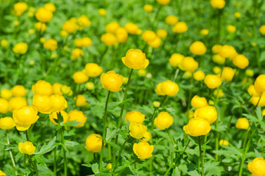 Similar image 786849