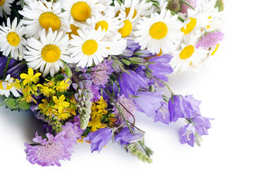 Similar image 786854