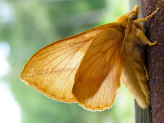 Similar image 786859