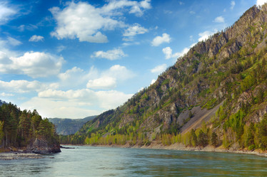 Similar image 786894