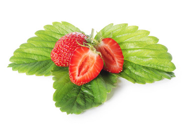 Similar image 786913