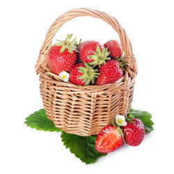 Similar image 786916