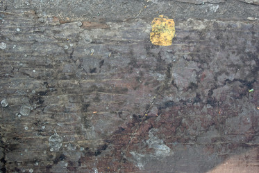 Similar image 786928