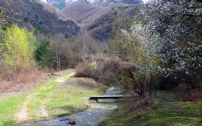 Similar image 786934