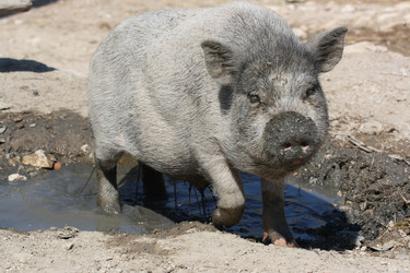 Similar image 787005