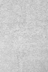 Similar image 787017